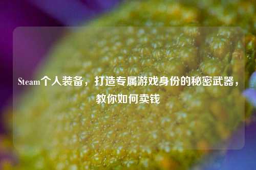 Steam个人装备，打造专属游戏身份的秘密武器，教你如何卖钱