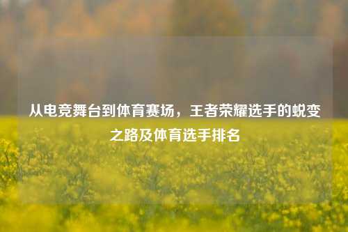 从电竞舞台到体育赛场，王者荣耀选手的蜕变之路及体育选手排名
