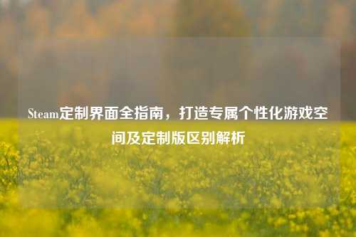 Steam定制界面全指南，打造专属个性化游戏空间及定制版区别解析