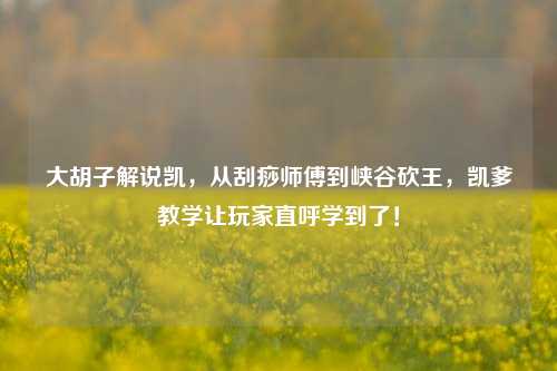 大胡子解说凯，从刮痧师傅到峡谷砍王，凯爹教学让玩家直呼学到了！