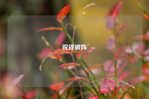 锐锋破阵
