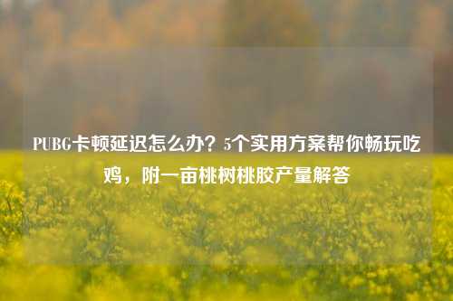 PUBG卡顿延迟怎么办？5个实用方案帮你畅玩吃鸡，附一亩桃树桃胶产量解答