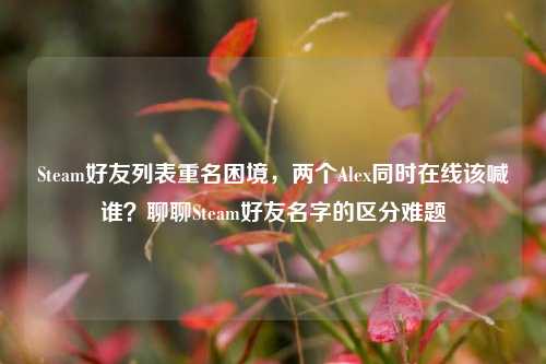 Steam好友列表重名困境，两个Alex同时在线该喊谁？聊聊Steam好友名字的区分难题