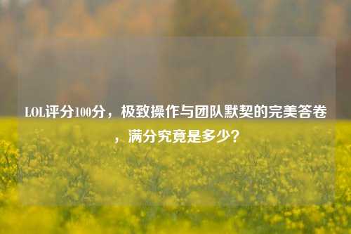 LOL评分100分，极致操作与团队默契的完美答卷，满分究竟是多少？
