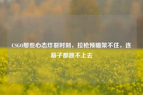 CSGO那些心态炸裂时刻，拉枪预瞄架不住，连箱子都跳不上去