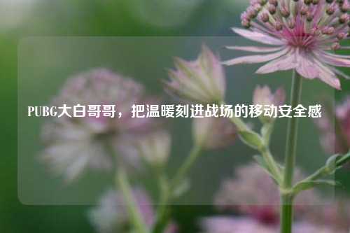 PUBG大白哥哥，把温暖刻进战场的移动安全感