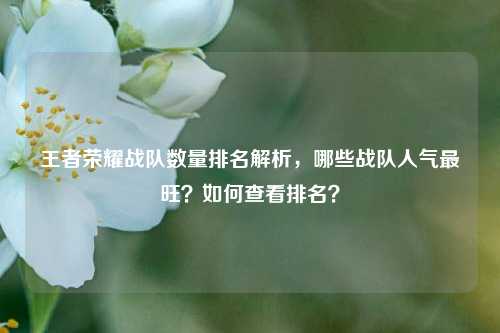 王者荣耀战队数量排名解析，哪些战队人气最旺？如何查看排名？