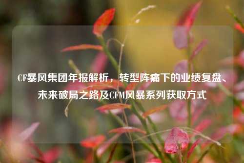 CF暴风集团年报解析，转型阵痛下的业绩复盘、未来破局之路及CFM风暴系列获取方式