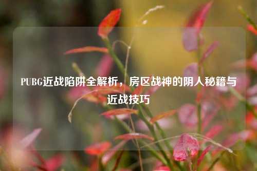 PUBG近战陷阱全解析，房区战神的阴人秘籍与近战技巧