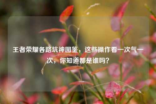 王者荣耀各路坑神图鉴，这些操作看一次气一次，你知道都是谁吗？