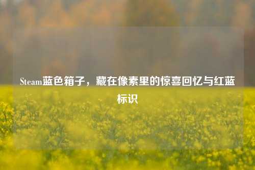 Steam蓝色箱子，藏在像素里的惊喜回忆与红蓝标识