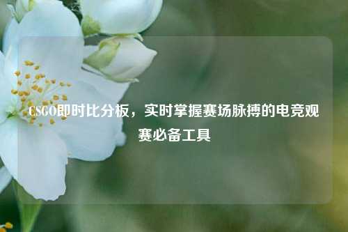 CSGO即时比分板，实时掌握赛场脉搏的电竞观赛必备工具