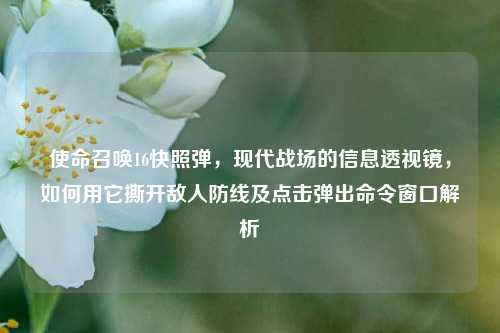 使命召唤16快照弹，现代战场的信息透视镜，如何用它撕开敌人防线及点击弹出命令窗口解析