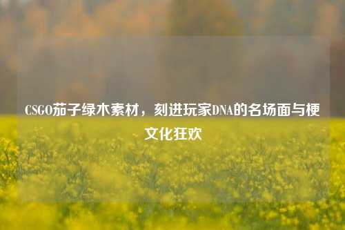 CSGO茄子绿木素材，刻进玩家DNA的名场面与梗文化狂欢