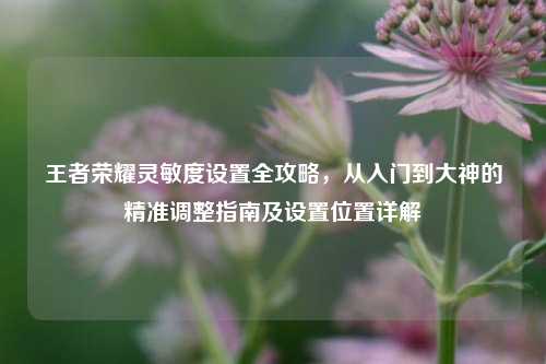 王者荣耀灵敏度设置全攻略，从入门到大神的精准调整指南及设置位置详解