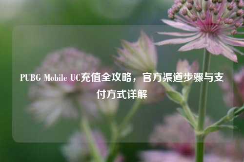PUBG Mobile UC充值全攻略，官方渠道步骤与支付方式详解