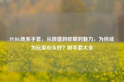 PUBG庞系手套，从颜值到收藏的魅力，为何成为玩家心头好？附手套大全