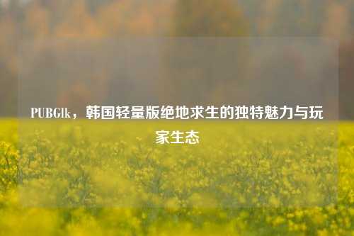 PUBGlk，韩国轻量版绝地求生的独特魅力与玩家生态
