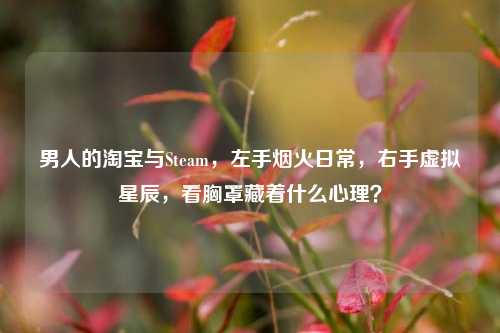 男人的淘宝与Steam，左手烟火日常，右手虚拟星辰，看胸罩藏着什么心理？