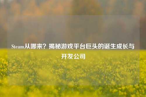 Steam从哪来?揭秘游戏平台巨头的诞生成长与开发公司