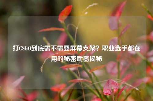 打CSGO到底需不需要屏幕支架？职业选手都在用的秘密武器揭秘