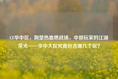 CF华中区，荆楚热血燃战场，中部玩家的江湖荣光——华中大区究竟包含哪几个区？