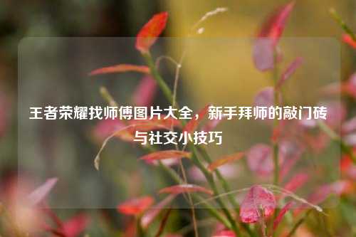 王者荣耀找师傅图片大全，新手拜师的敲门砖与社交小技巧