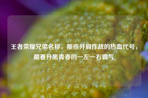 王者荣耀兄弟名称，那些并肩作战的热血代号，藏着开黑青春的一左一右霸气