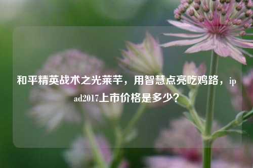 和平精英战术之光莱芊，用智慧点亮吃鸡路，ipad2017上市价格是多少？