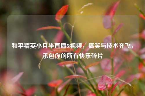 和平精英小月半直播&视频，搞笑与技术齐飞，承包你的所有快乐碎片