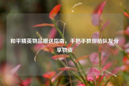 和平精英物品赠送指南，手把手教你给队友分享物资