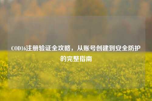 COD16注册验证全攻略，从账号创建到安全防护的完整指南