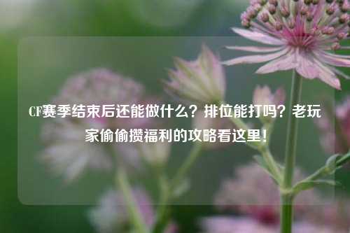 CF赛季结束后还能做什么？排位能打吗？老玩家偷偷攒福利的攻略看这里！