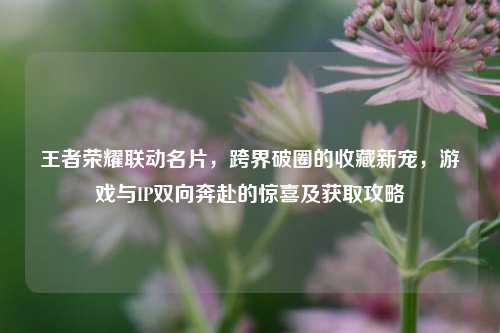 王者荣耀联动名片，跨界破圈的收藏新宠，游戏与IP双向奔赴的惊喜及获取攻略