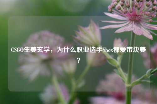 CSGO生姜玄学，为什么职业选手Shox都爱带块姜？