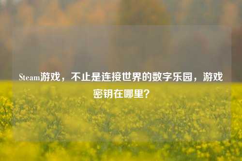 Steam游戏，不止是连接世界的数字乐园，游戏密钥在哪里？