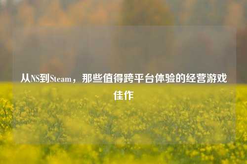 从NS到Steam，那些值得跨平台体验的经营游戏佳作