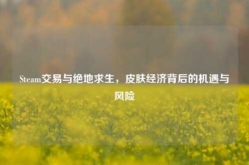 Steam交易与绝地求生，皮肤经济背后的机遇与风险