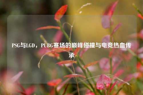 PSG与LGD，PUBG赛场的巅峰碰撞与电竞热血传承