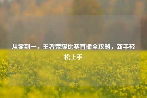 从零到一，王者荣耀比赛直播全攻略，新手轻松上手