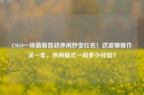 CSGO一级萌新首战休闲秒变红名！这波骚操作笑一年，休闲模式一局多少经验？