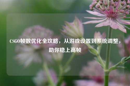 CSGO帧数优化全攻略，从游戏设置到系统调整，助你稳上高帧