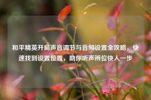 和平精英开局声音调节与音频设置全攻略，快速找到设置位置，助你听声辨位快人一步