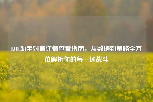 LOL助手对局详情查看指南，从数据到策略全方位解析你的每一场战斗