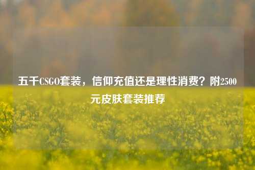 五千CSGO套装，信仰充值还是理性消费？附2500元皮肤套装推荐