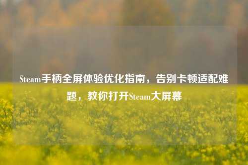 Steam手柄全屏体验优化指南，告别卡顿适配难题，教你打开Steam大屏幕