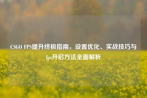 CSGO FPS提升终极指南，设置优化、实战技巧与fps开启方法全面解析