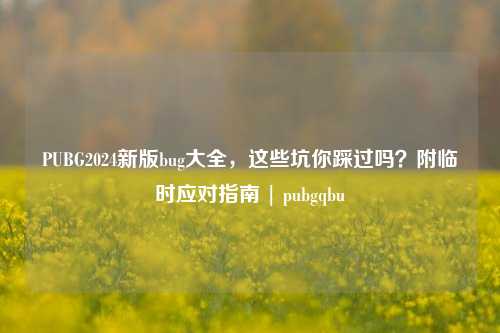 PUBG2024新版bug大全，这些坑你踩过吗？附临时应对指南 | pubgqbu