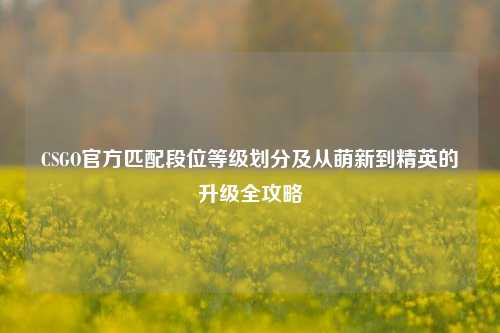 CSGO官方匹配段位等级划分及从萌新到精英的升级全攻略
