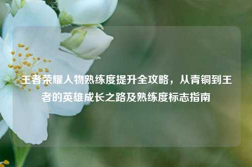 王者荣耀人物熟练度提升全攻略，从青铜到王者的英雄成长之路及熟练度标志指南